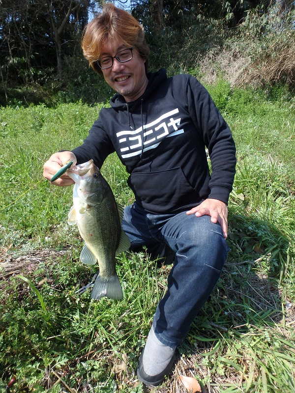 f:id:minekofujiko:20200317105423j:plain