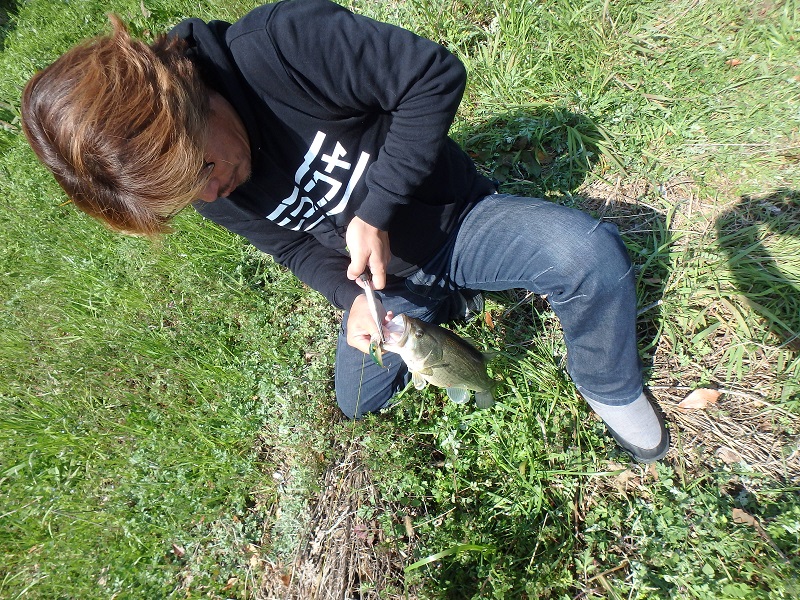 f:id:minekofujiko:20200317105434j:plain