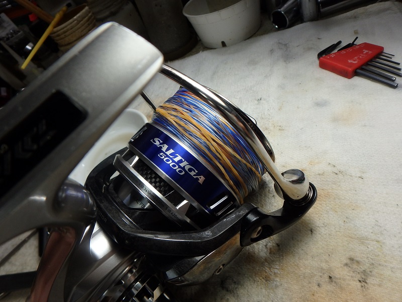 マグシールドの恐怖 キャット リール