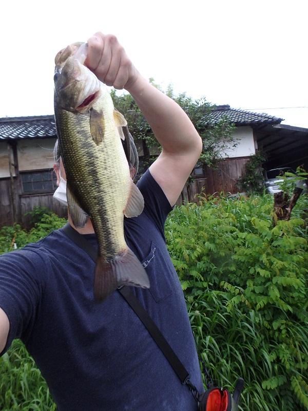 f:id:minekofujiko:20200620012346j:plain