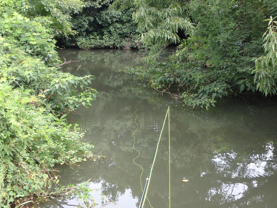 f:id:minekofujiko:20210824145238j:plain