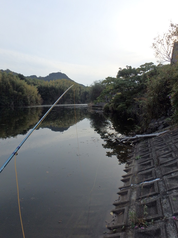 f:id:minekofujiko:20211119025259j:plain