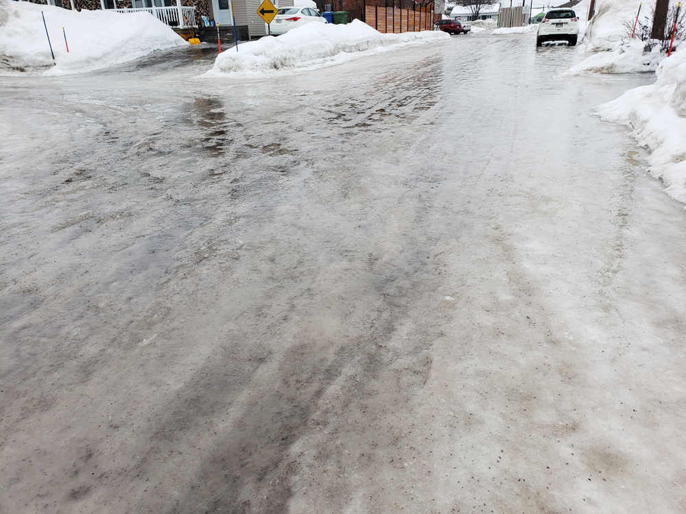 f:id:minekoquebec:20220219043656j:plain