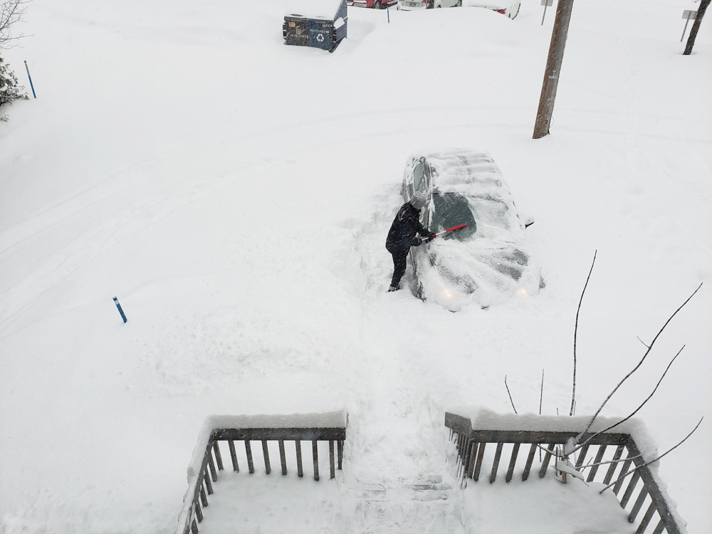 f:id:minekoquebec:20220219043915j:plain