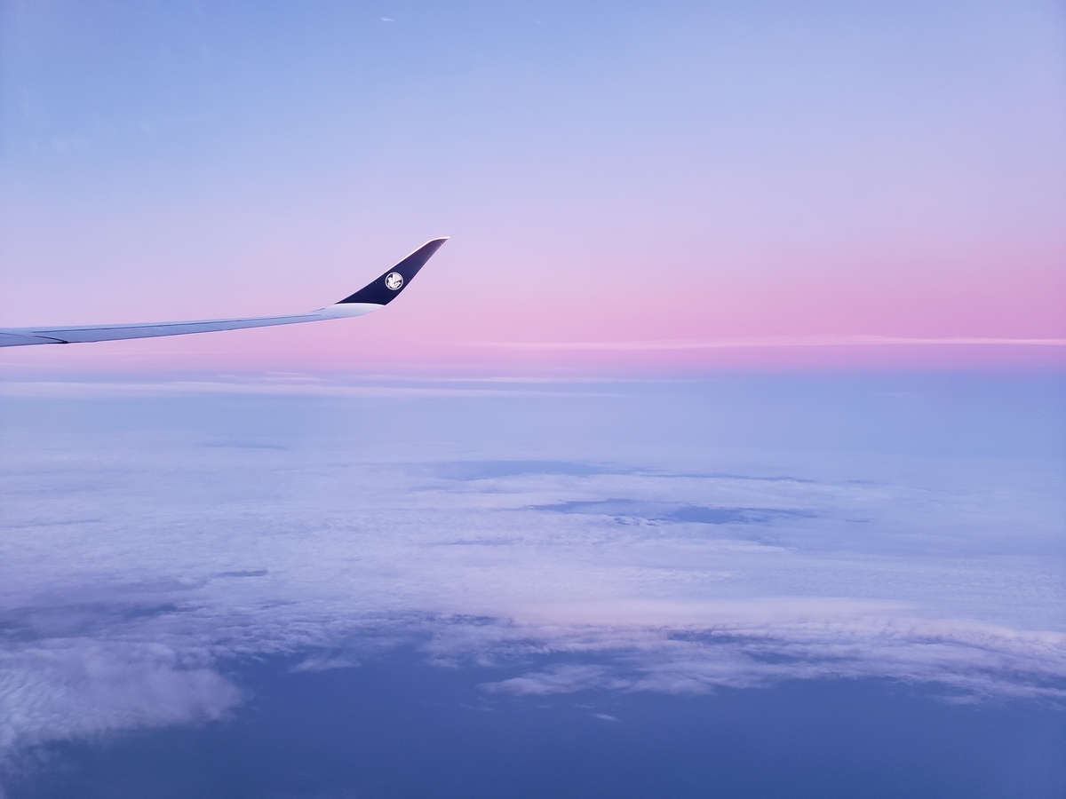 f:id:minekoquebec:20220316200442j:plain