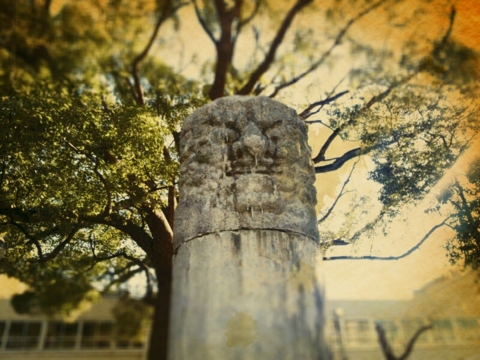f:id:minel:20121210064206j:image