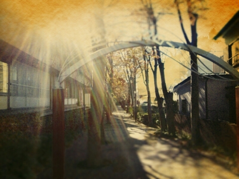 f:id:minel:20121210064207j:image