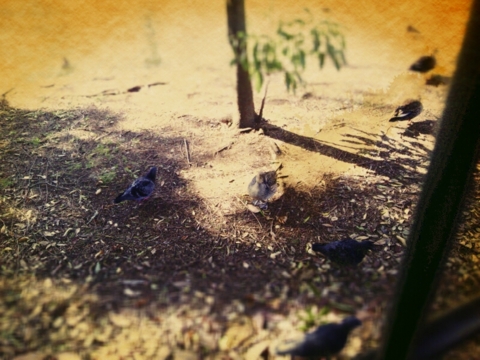 f:id:minel:20121210064212j:image