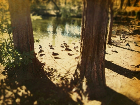 f:id:minel:20121210064213j:image
