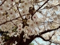 20180331111905
