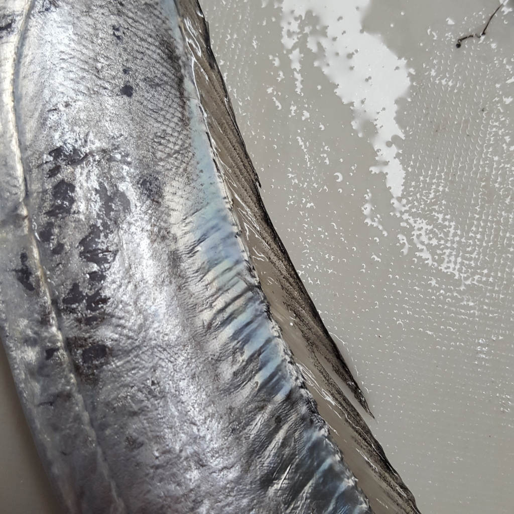 f:id:minemuracoffee:20171112134358j:plain