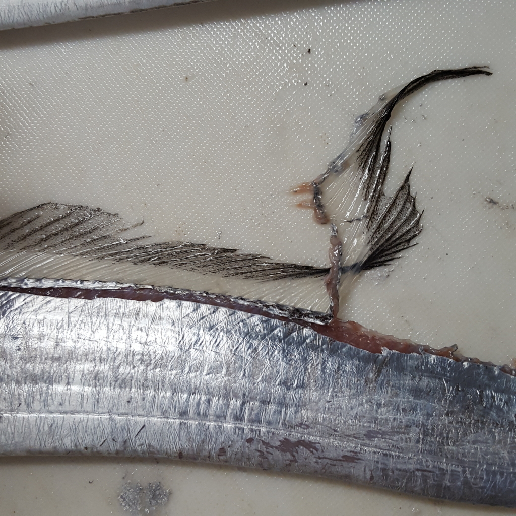 f:id:minemuracoffee:20171112134545j:plain