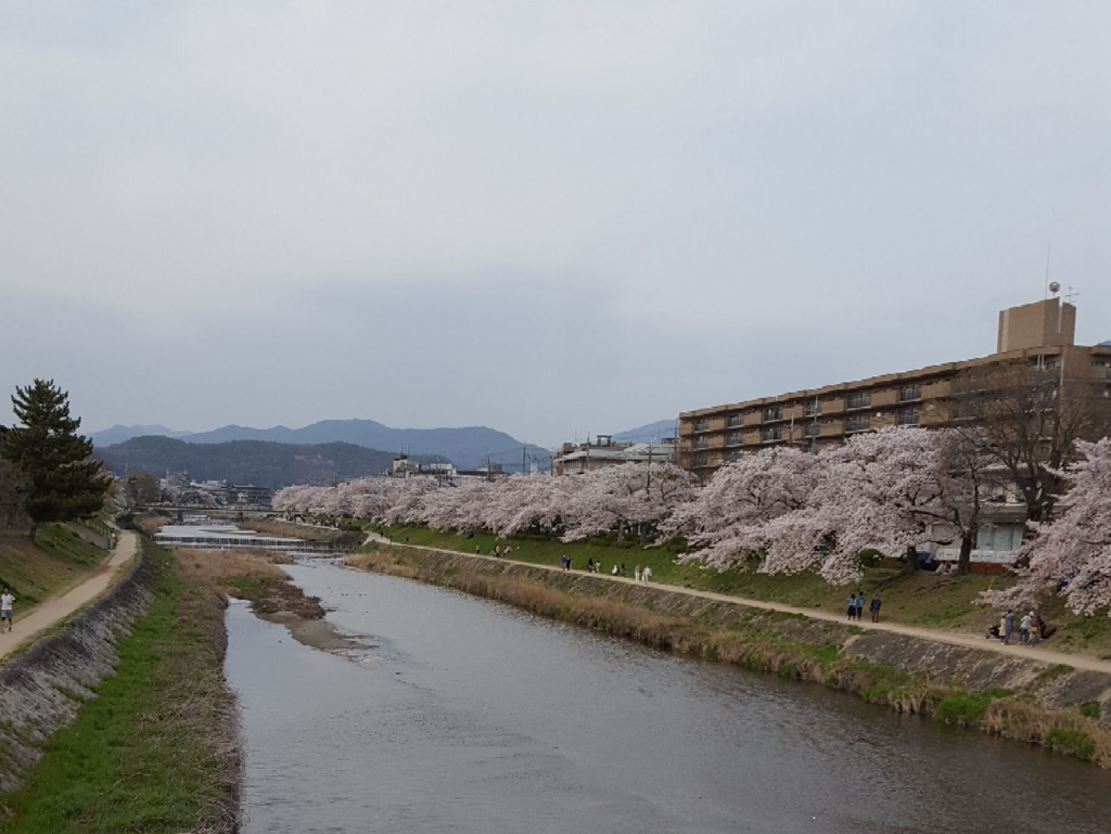 f:id:minemuracoffee:20180407164644p:plain