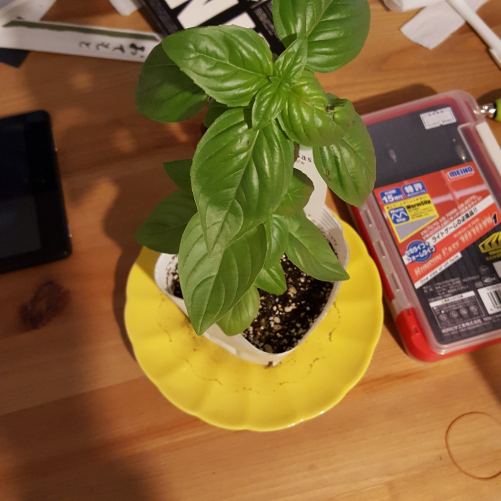 f:id:minemuracoffee:20180425212736p:plain