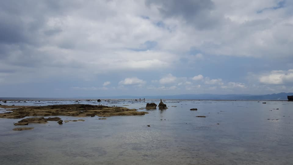 f:id:minemuracoffee:20180603114957p:plain f:id:minemuracoffee:20180603114957p:plain