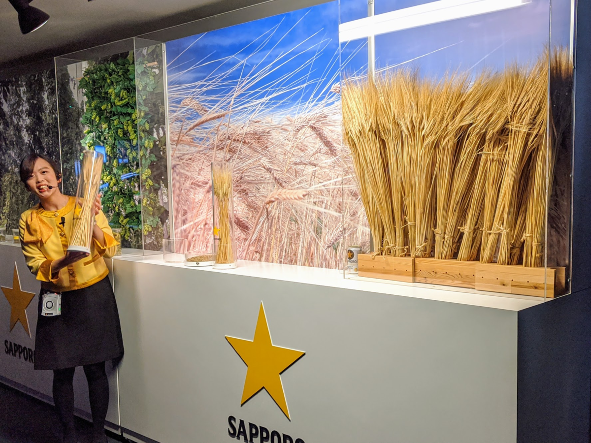 f:id:minemuracoffee:20200217193850p:plain