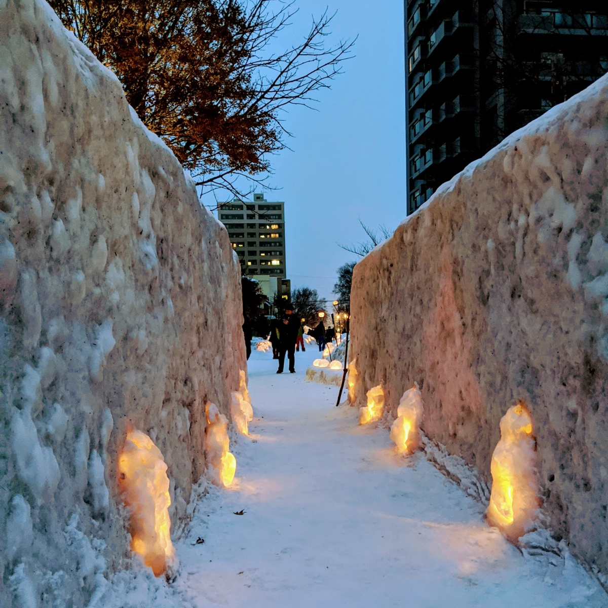 f:id:minemuracoffee:20200217231955p:plain