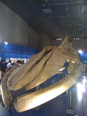 f:id:mineo1979:20100725114821j:image