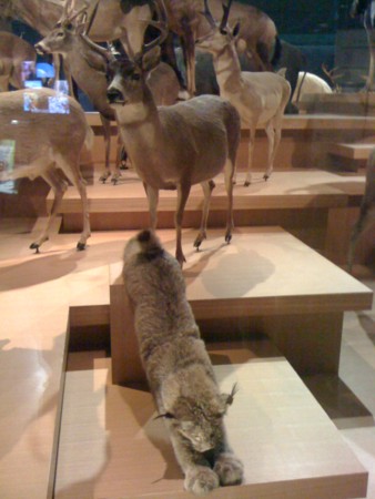 f:id:mineo1979:20100725125121j:image