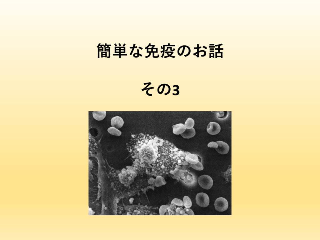 f:id:minesot:20181202042803p:plain