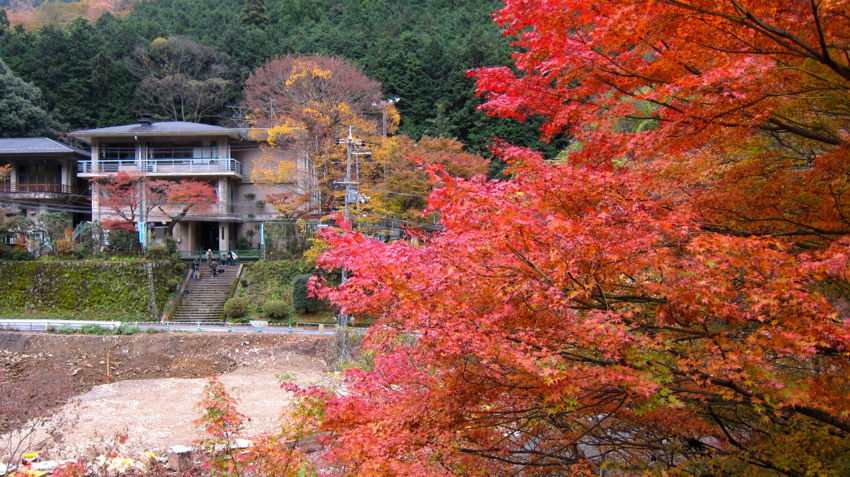 f:id:minesweeper96:20111123224617j:plain