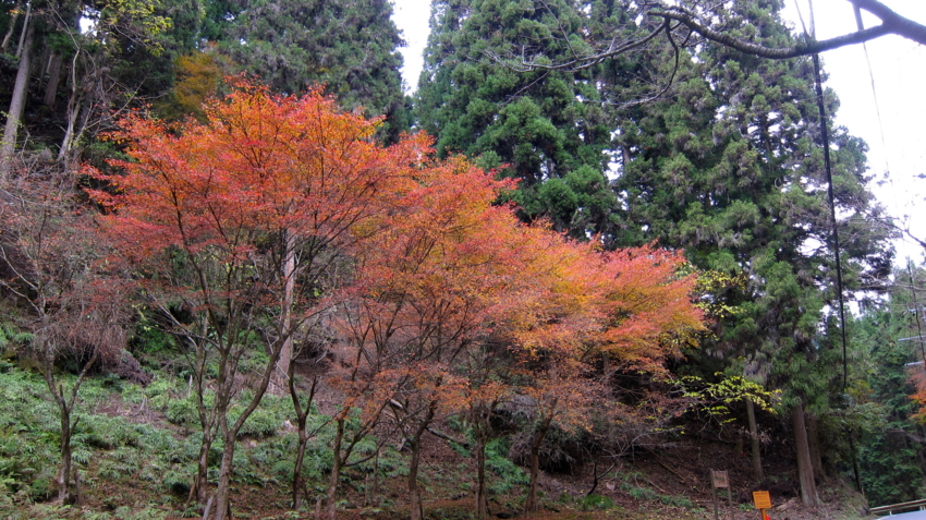 f:id:minesweeper96:20111123224619j:plain