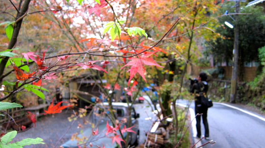 f:id:minesweeper96:20111123224627j:plain