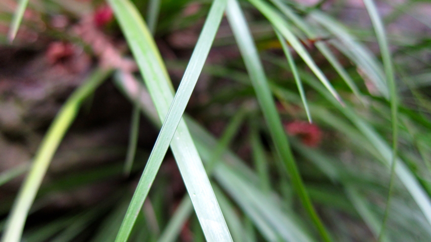 f:id:minesweeper96:20111123224629j:plain