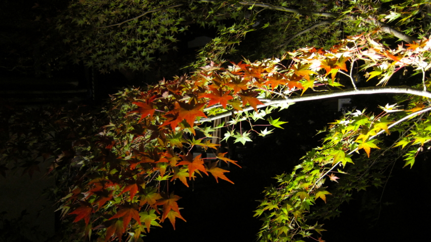 f:id:minesweeper96:20111123224633j:plain