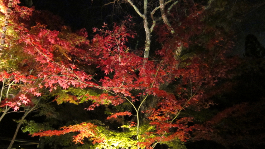 f:id:minesweeper96:20111123224639j:plain