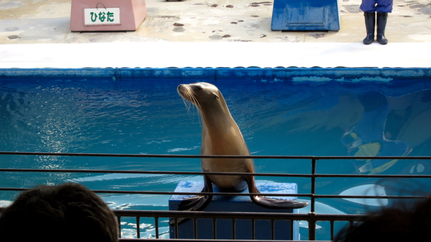 f:id:minesweeper96:20121009220118j:plain