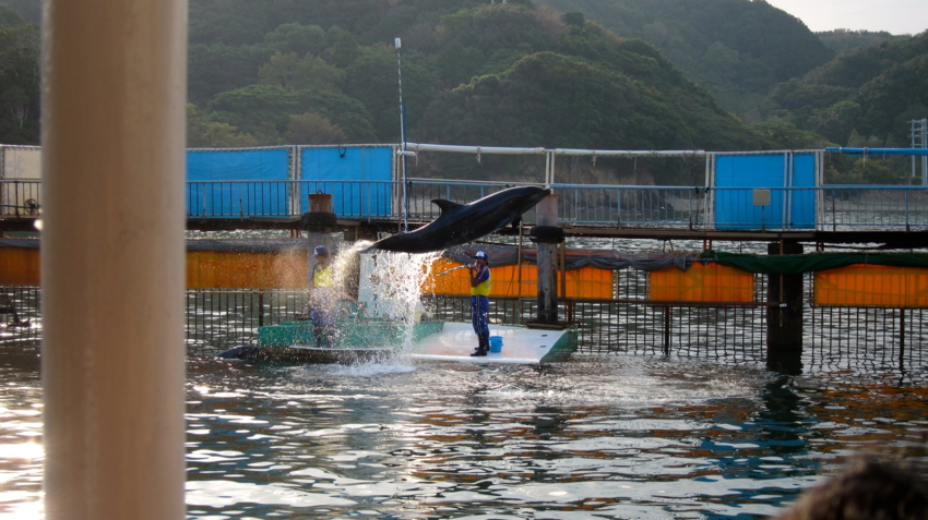 f:id:minesweeper96:20121009220120j:plain