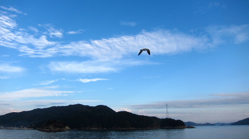 f:id:minesweeper96:20121009220121j:plain