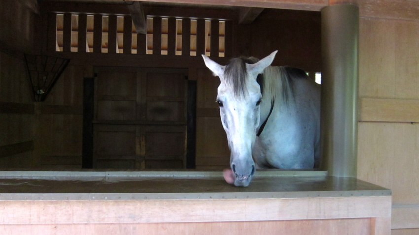 f:id:minesweeper96:20121009220128j:plain