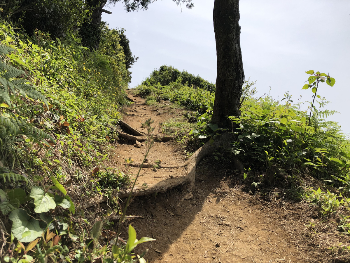 f:id:minetake:20210505231253j:plain