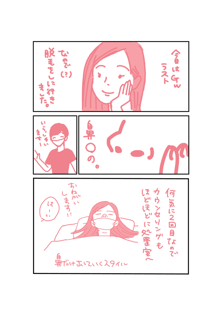 f:id:minetake:20210505233418j:plain
