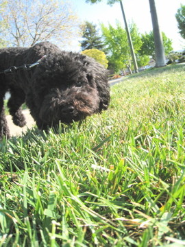 f:id:minff:20080426143308j:image