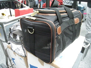 f:id:minff:20080709180731j:image