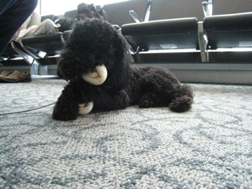 f:id:minff:20080709180732j:image