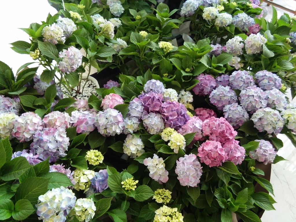 f:id:minghuabj:20170628120813j:plain