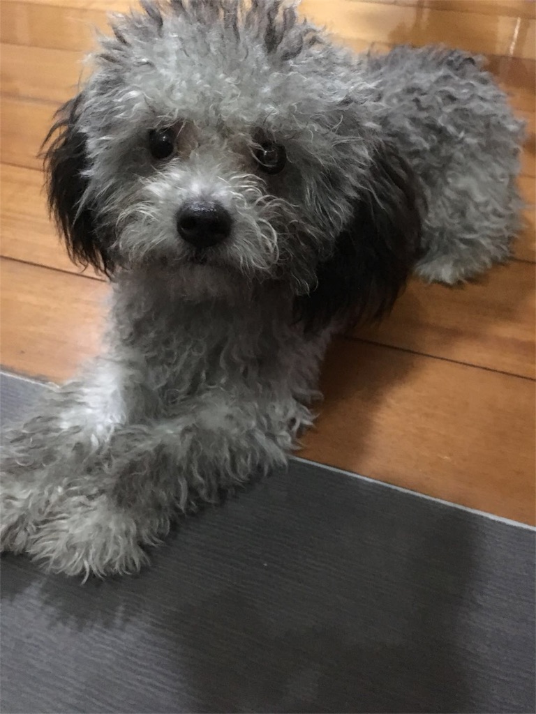 f:id:minghuabj:20180731093256j:image