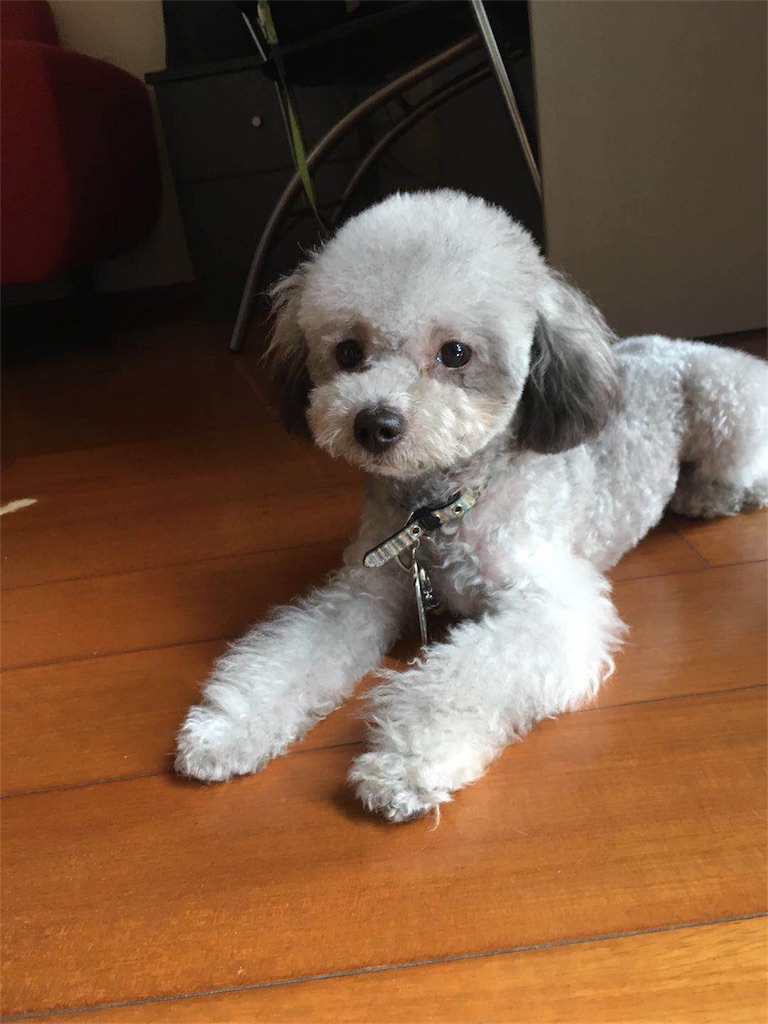 f:id:minghuabj:20180731093326j:image