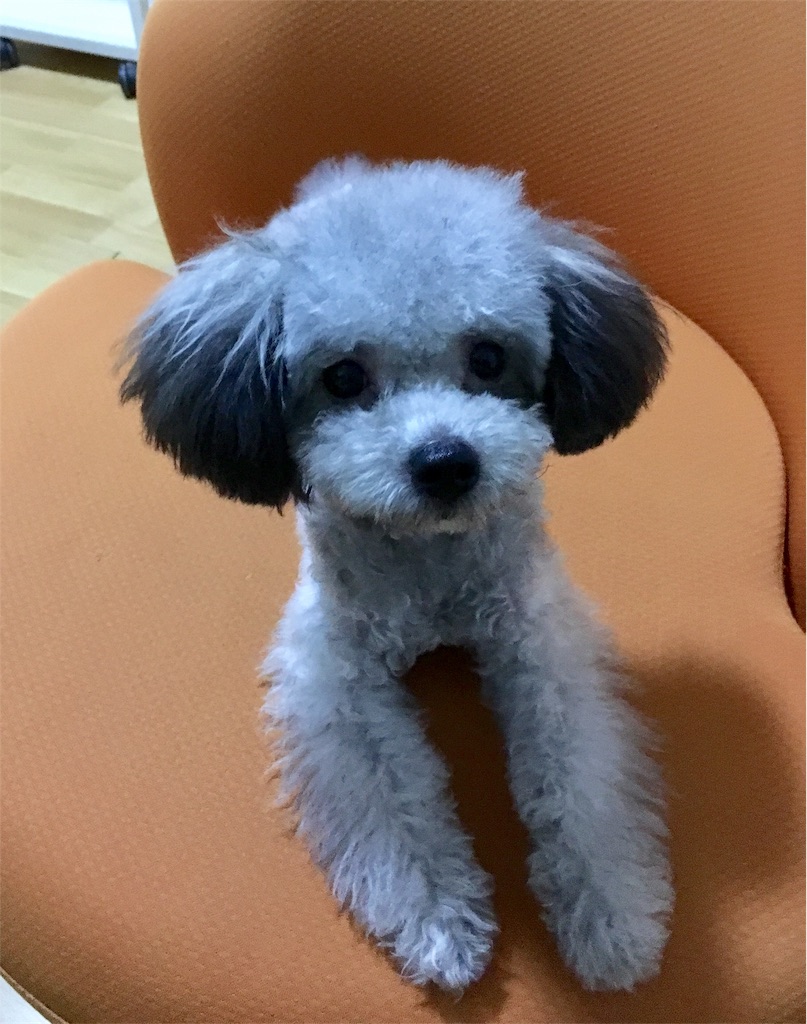 f:id:minghuabj:20180731211439j:image