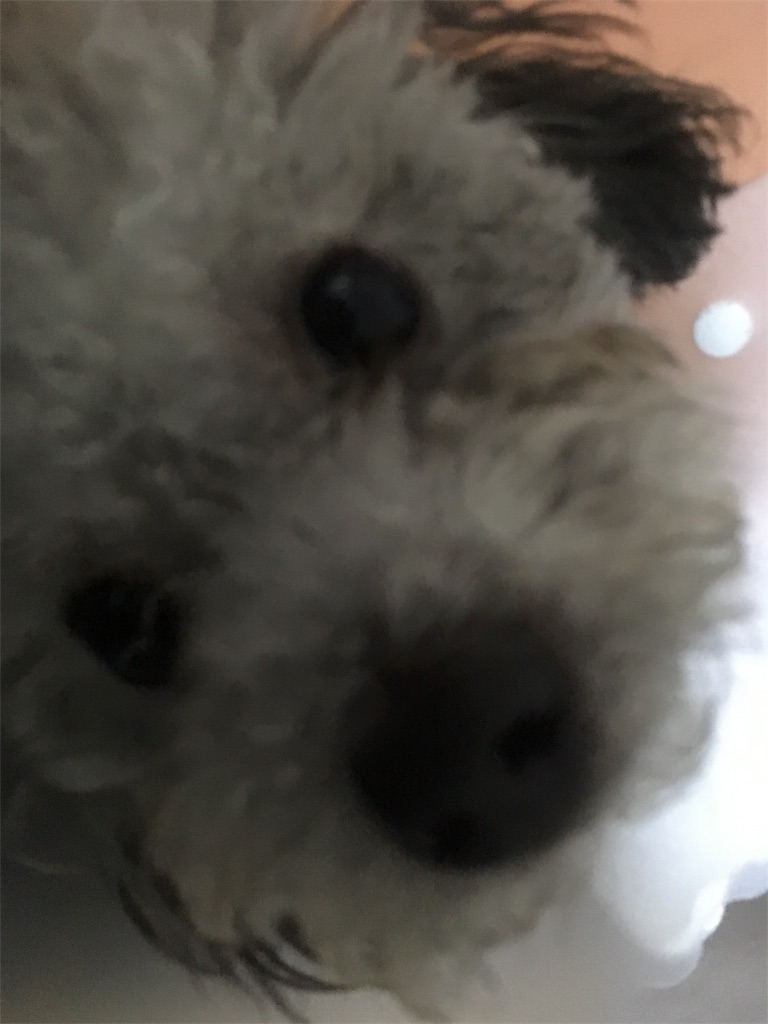 f:id:minghuabj:20180818170739j:image