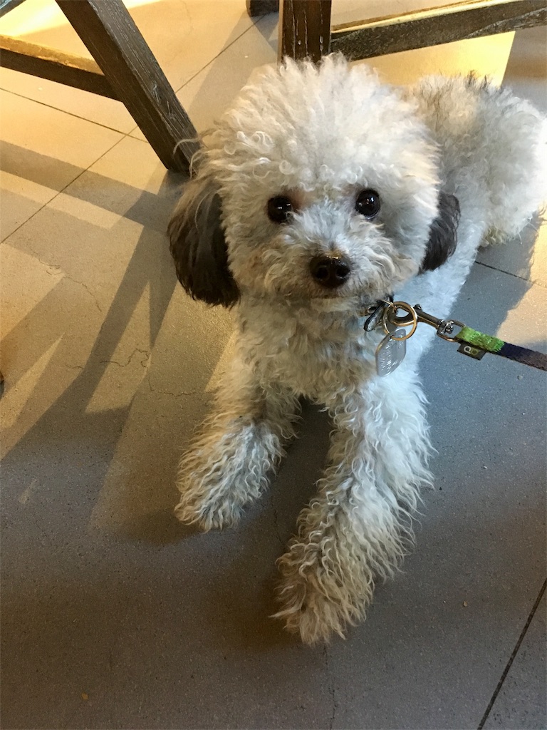 f:id:minghuabj:20180923182204j:image