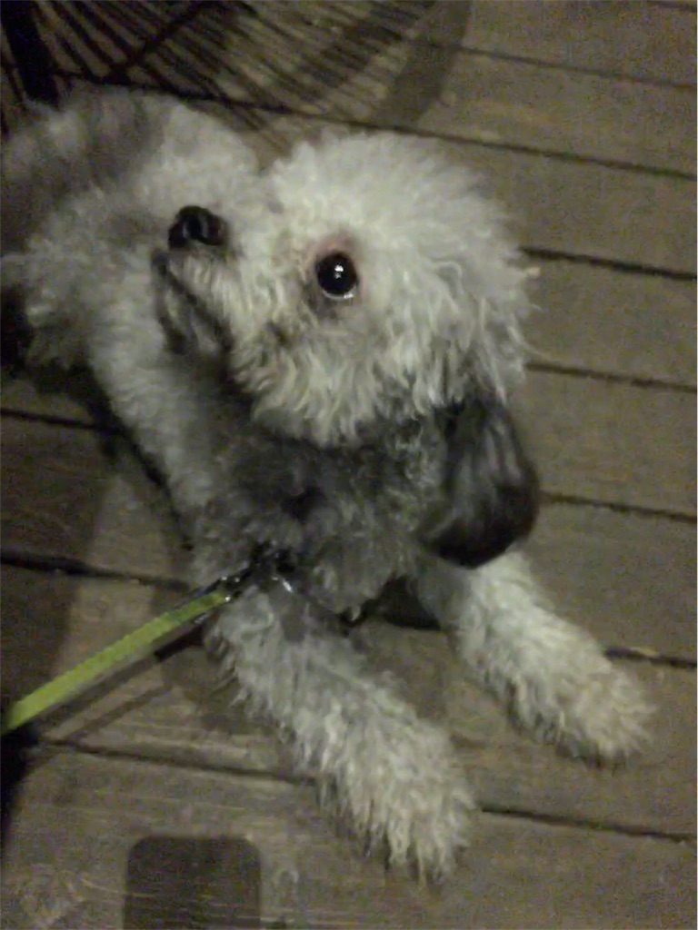 f:id:minghuabj:20181005151134j:image