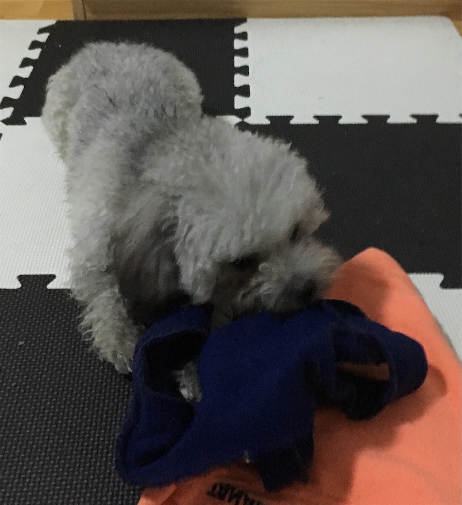 f:id:minghuabj:20181215143733j:image