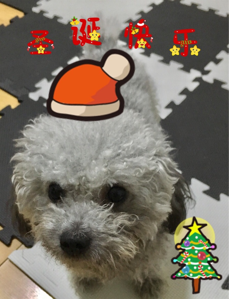 f:id:minghuabj:20181224234248j:image