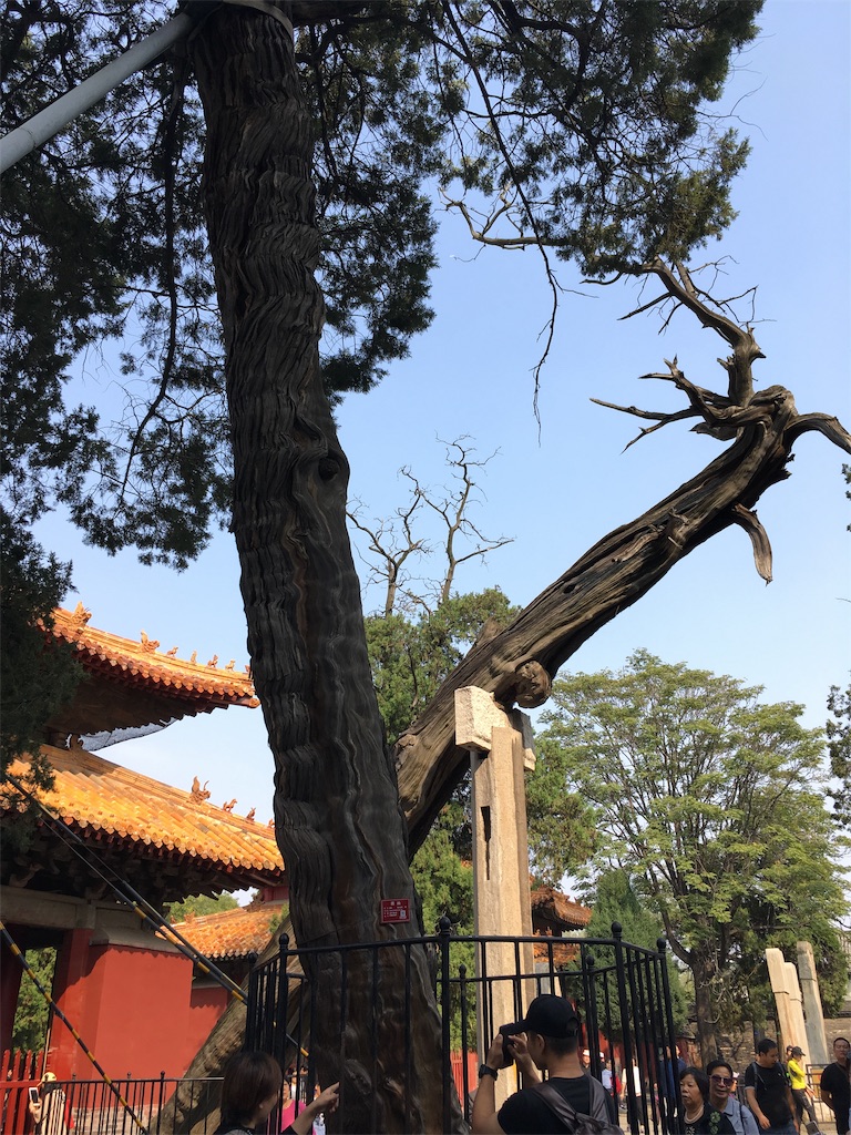 f:id:minghuabj:20190102100423j:image f:id:minghuabj:20190102100423j:image