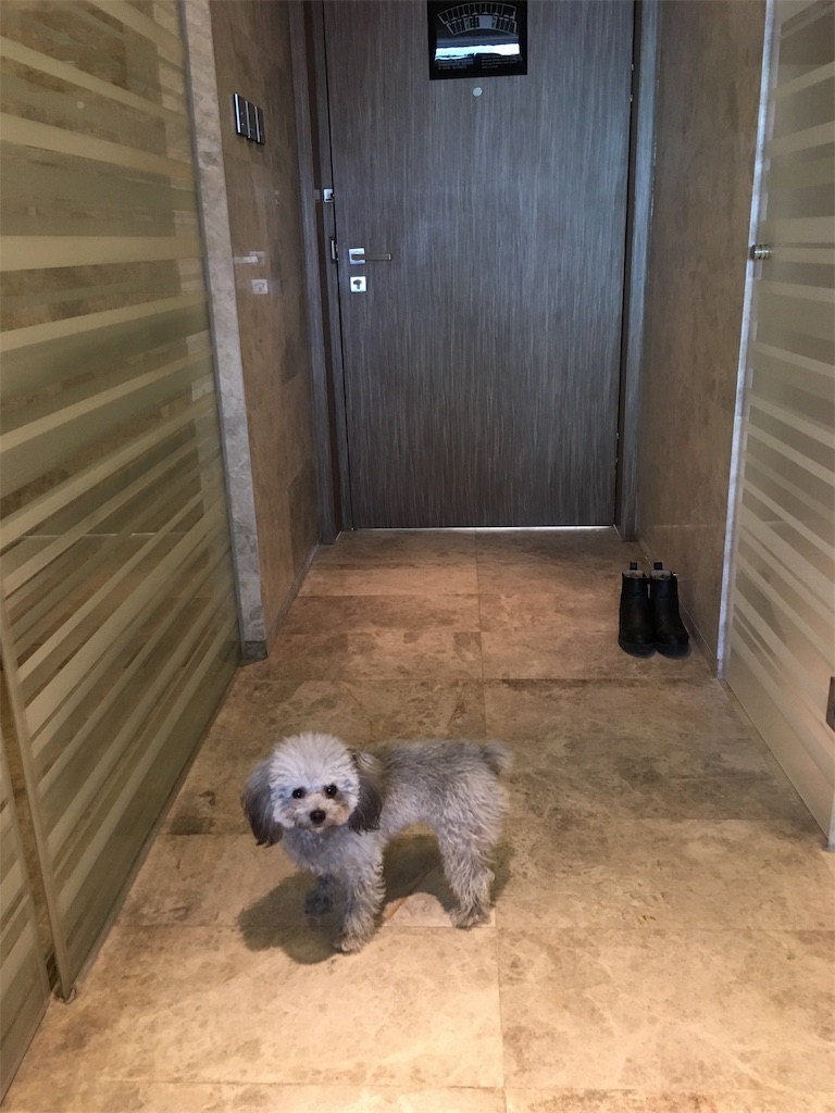f:id:minghuabj:20190105114220j:image
